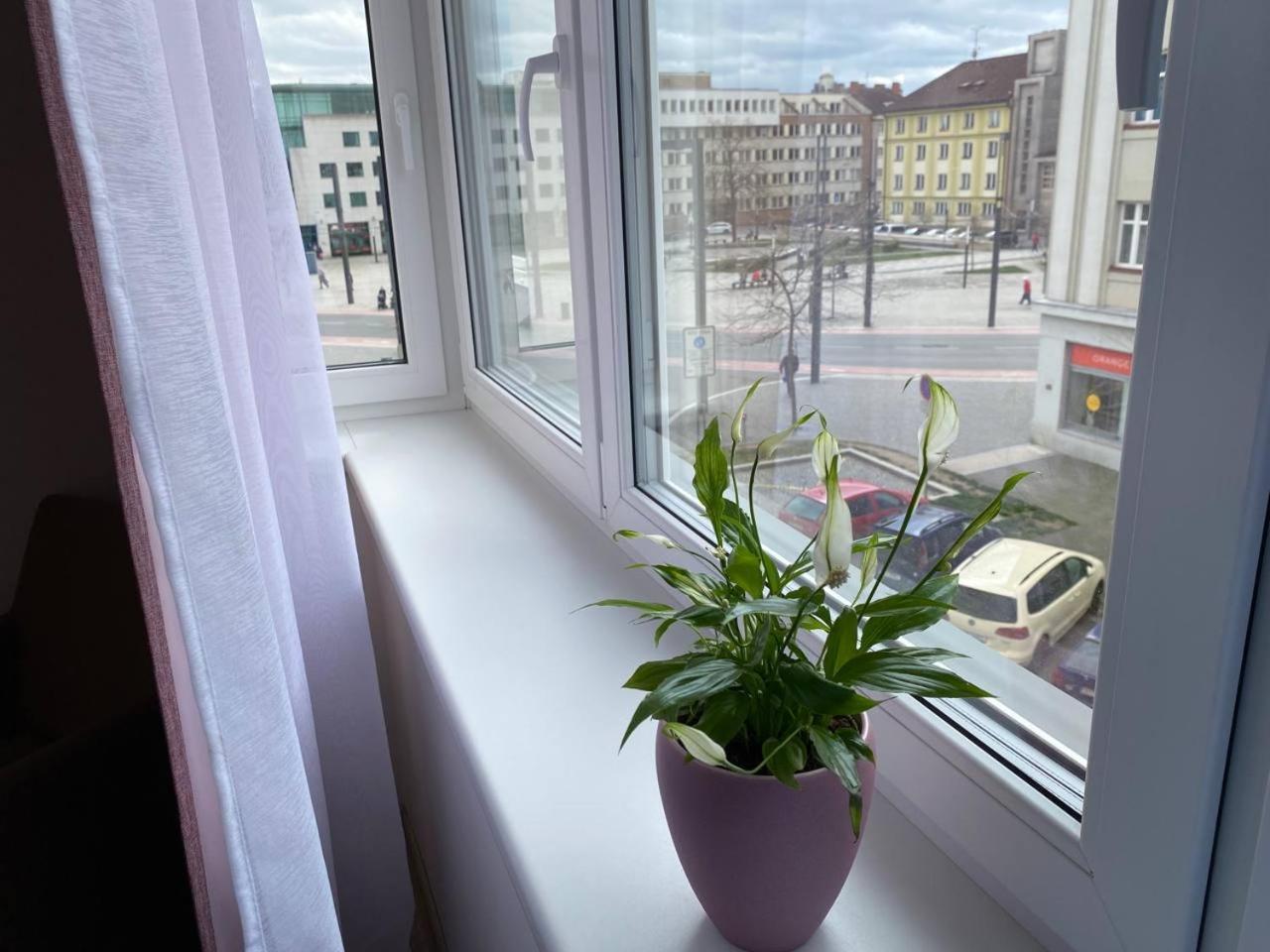 Perla Hradce 302 Apartment Hradec Kralove Exterior photo